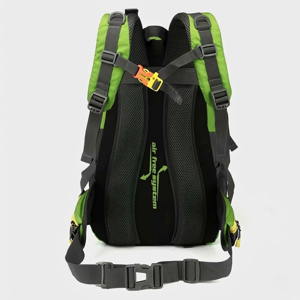 Dos d'un sac à dos randonnée 40L vert vif, panneau dorsal respirant mesh, sangle de hanches et sifflet orange.