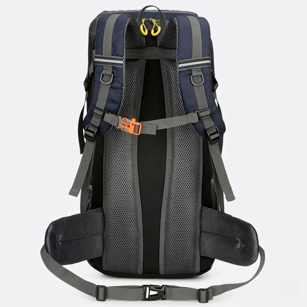 Vue arrière du sac à dos de randonnée 50L bleu marine, dos maillé aéré, bretelles rembourrées et ceinture ventrale