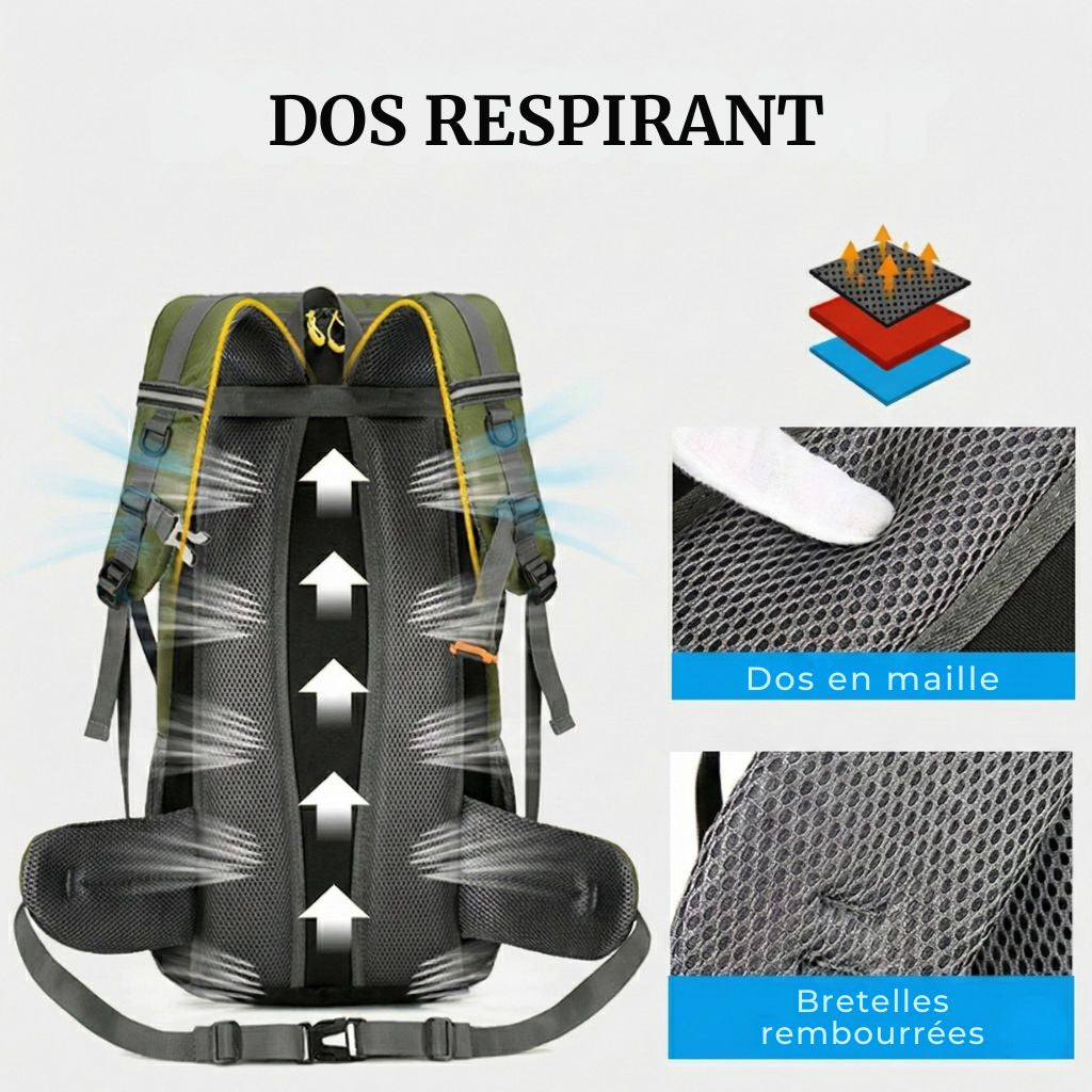 Dos du sac à dos de randonnée vert 50L avec schéma de ventilation dorsale, zoom maille et bretelles rembourrées Image