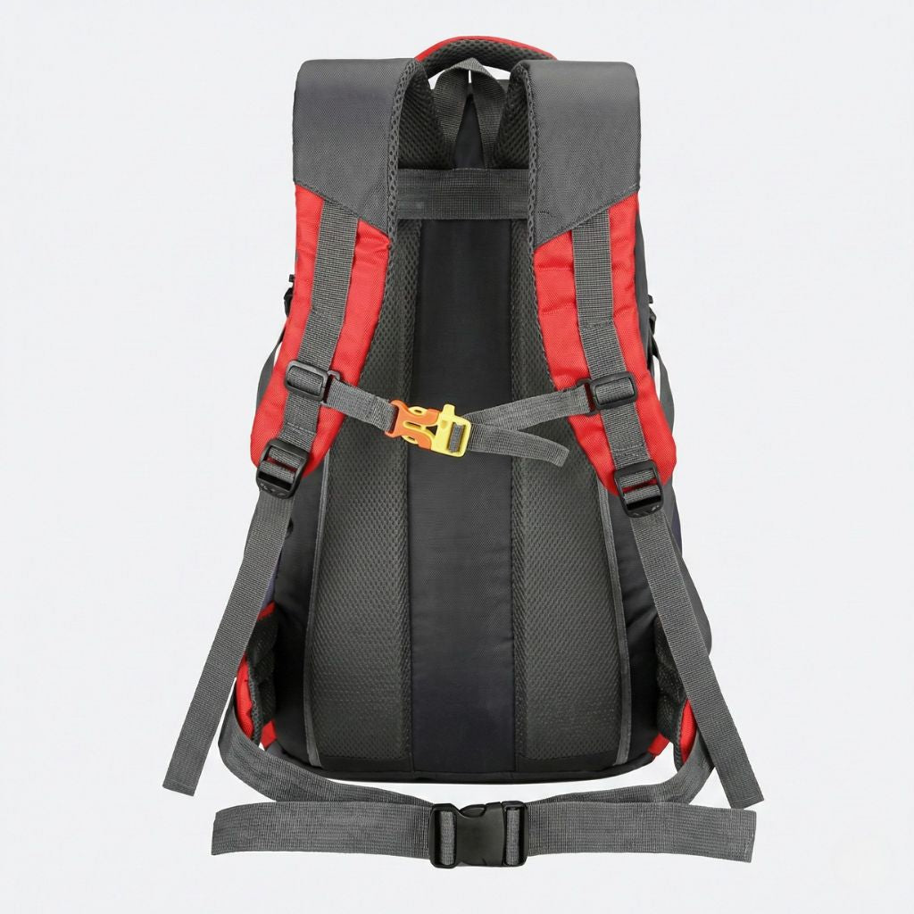 Dos d'un sac à dos randonnée 60L rouge, bretelles rembourrées, sangle de hanches et sangle poitrine ajustables.
