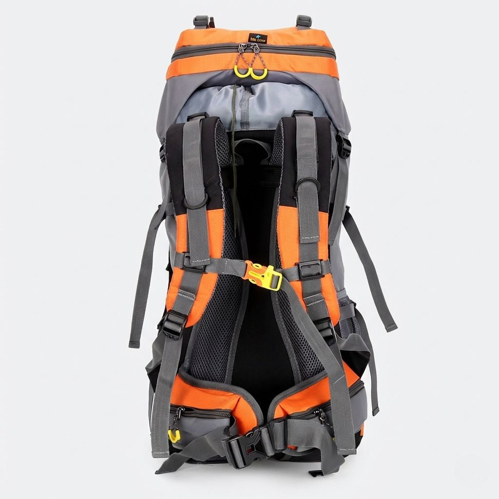 Dos d'un sac à dos randonnée 60L orange, ceinture lombaire rembourrée, bretelles ergonomiques et sangle poitrine.