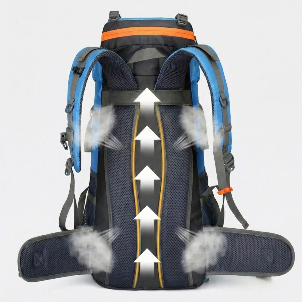 Dos du grand sac à dos de randonnée bleu et orange 70L avec schéma de ventilation dorsal et bretelles matelassées Image