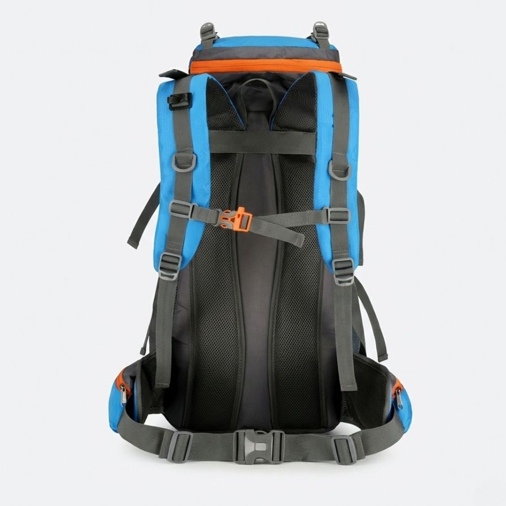 Dos d'un sac à dos randonnée 70L bleu ciel, bretelles et ceinture lombaire en mesh gris, sangle poitrine orange.